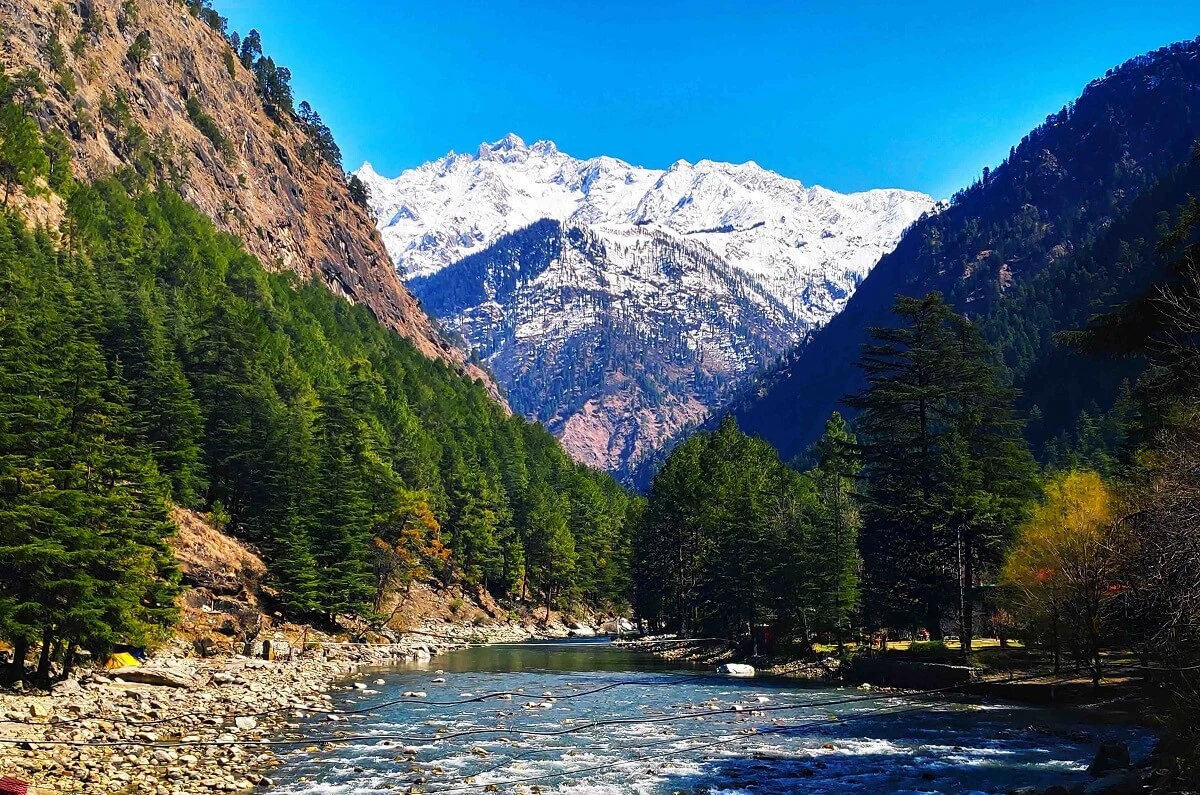 India wildlife journey