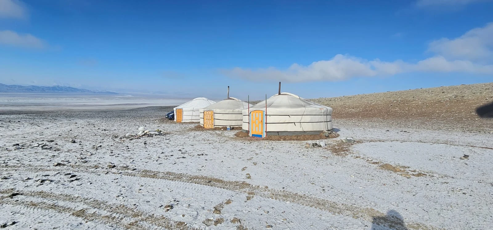 Wildlife and landscapes from Mongolia
