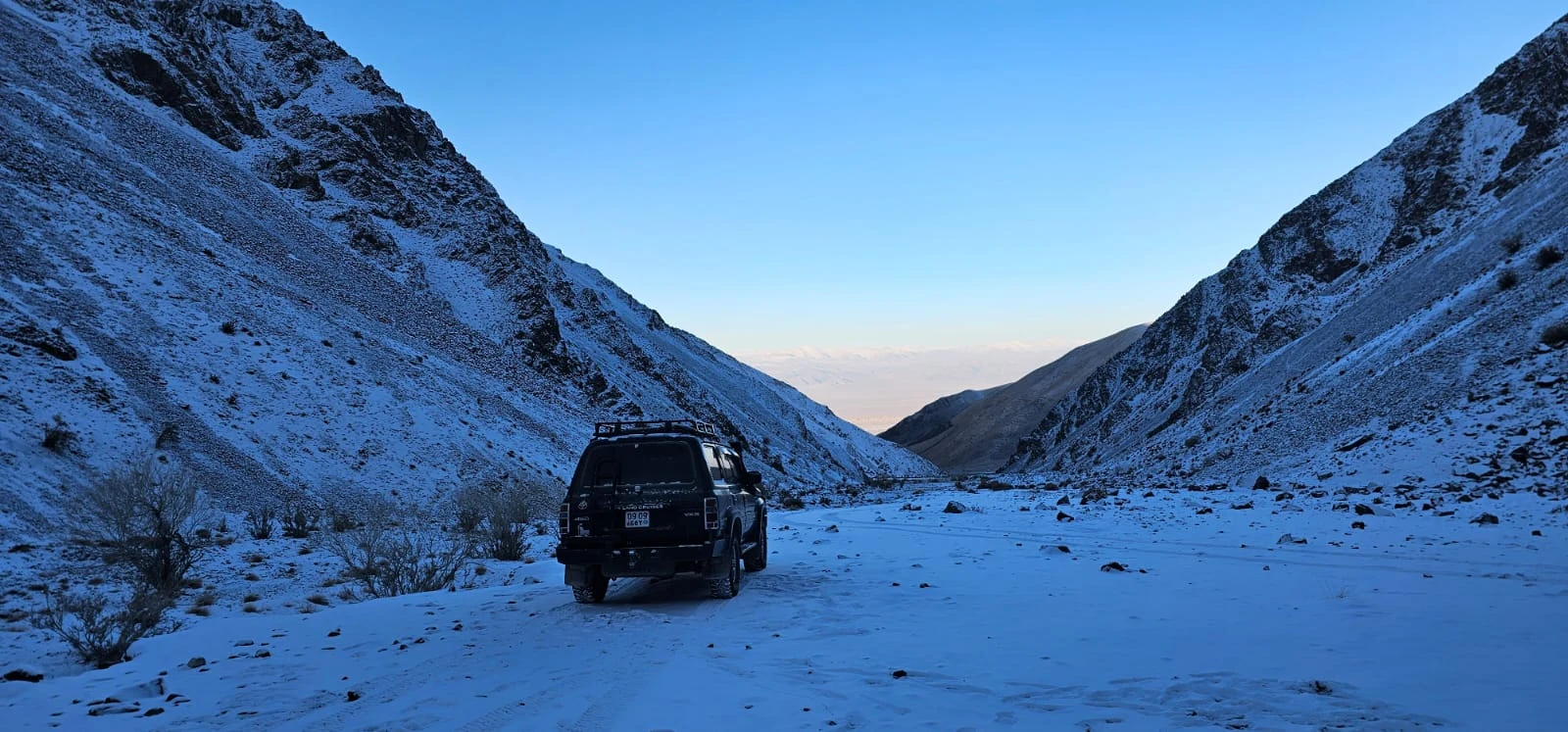 Wildlife and landscapes from Mongolia
