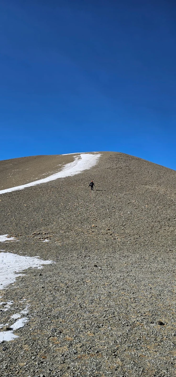 Wildlife and landscapes from Mongolia
