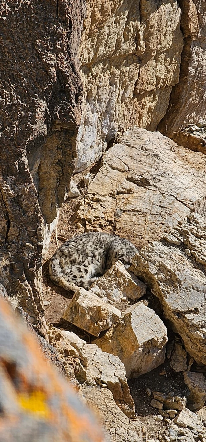 Wildlife and landscapes from Mongolia