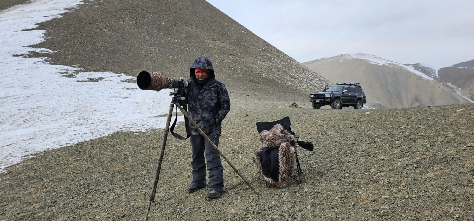Wildlife and landscapes from Mongolia